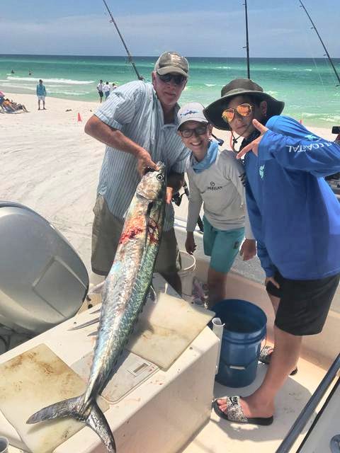King Mackerel