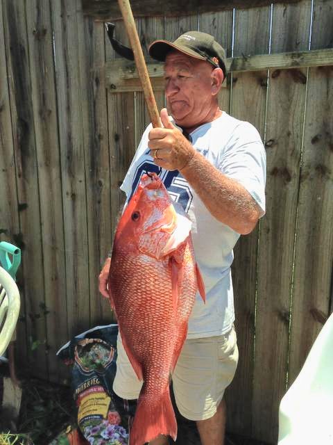 Snapper