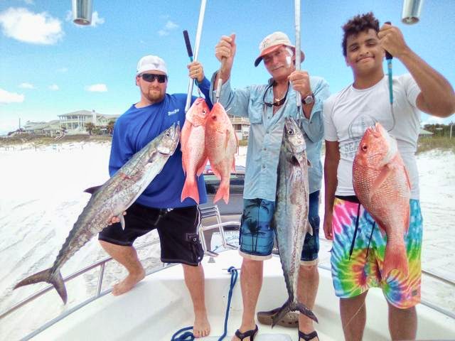 Kings & snapper on Fishstick One