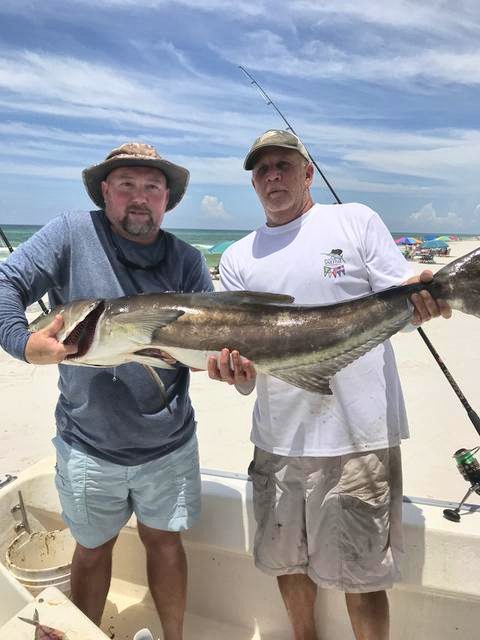 Cobia caught on Fishstick Charters