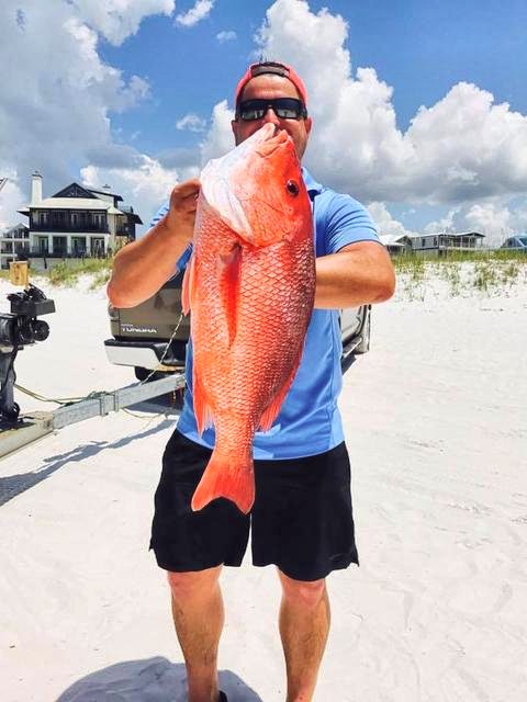 Snapper